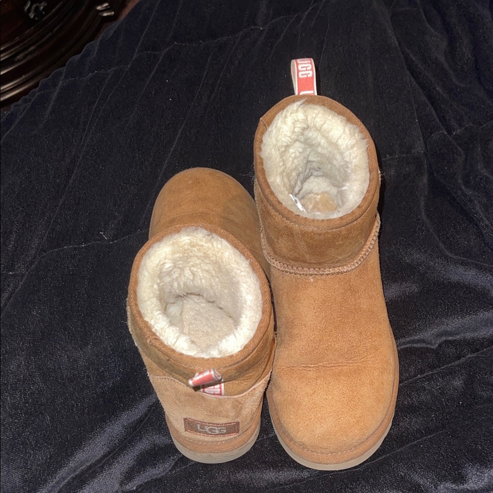 UGG Tan Ankle Boots with Soft Lining